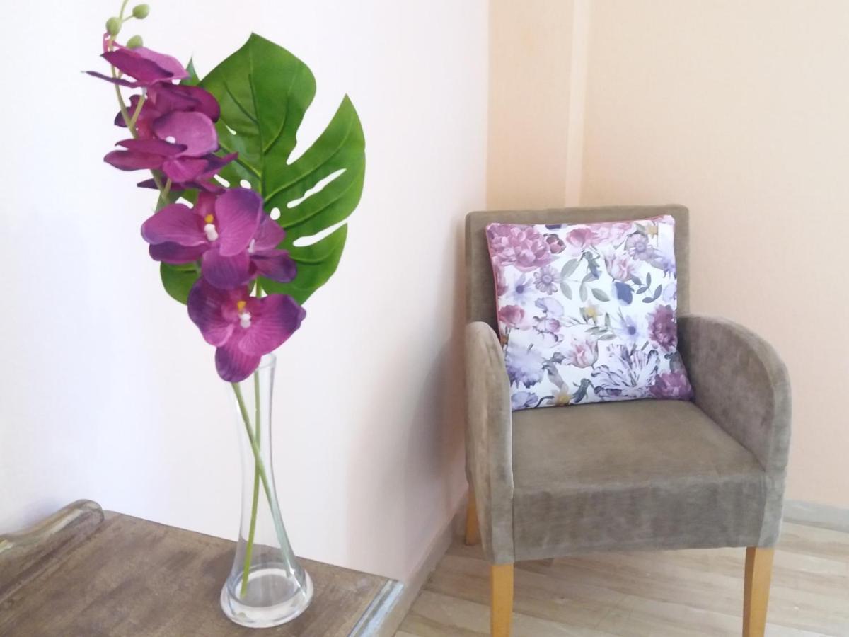 Alexandra Spingou Apartments Дассия Экстерьер фото